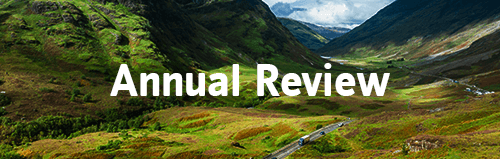 Annual Review button